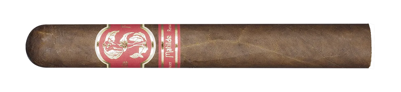 Renacer Robusto