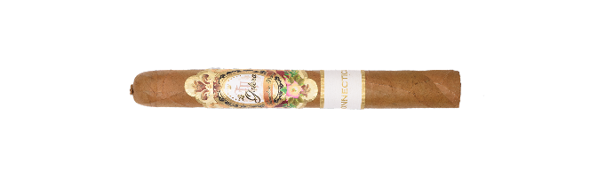 Connecticut Corona Cepo (Pig Tail)