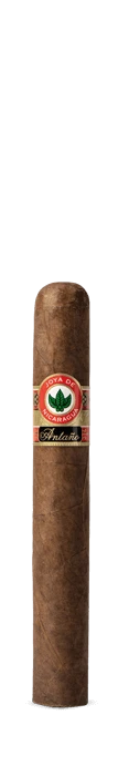 Antaño Original Alisado