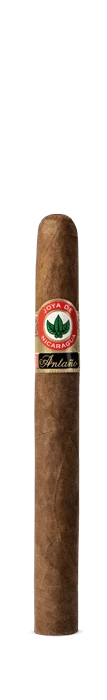 Antaño Original Churchill