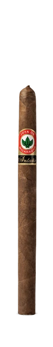 Antaño Original Lancero