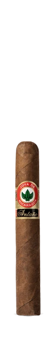 Antaño Original Robusto Grande