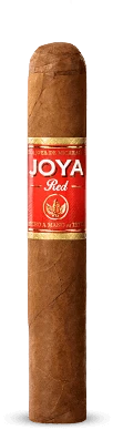Joya Red Short Churchill