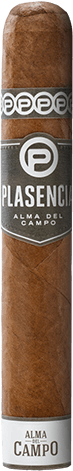 Alma del Campo Guajiro